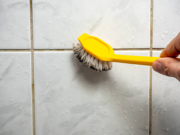 Best Mold Removal Near Me  in Morgan City, LA