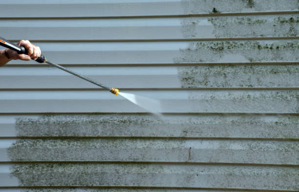 Mold Removal and Inspection in Morgan City, LA