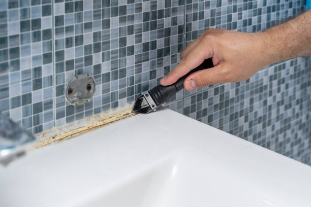 Best Mold Testing  in Morgan City, LA