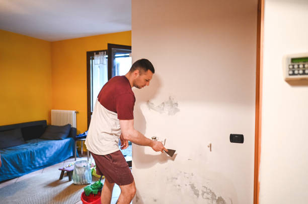 Best Mold Remediation  in Morgan City, LA
